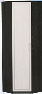 Шкаф для одежды угловой ДЛЯ ГОСТИНОЙ ШОУ-695 Венге/Дуб выбеленный в Канске - kansk.katalogmebeli.com | фото